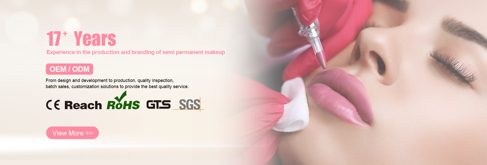 Kalite Kalıcı Makyaj Dövme Seti fabrika